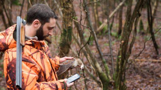 Un chasseur utilise l'application mobile ChassAdapt pour renseigner un prélèvement