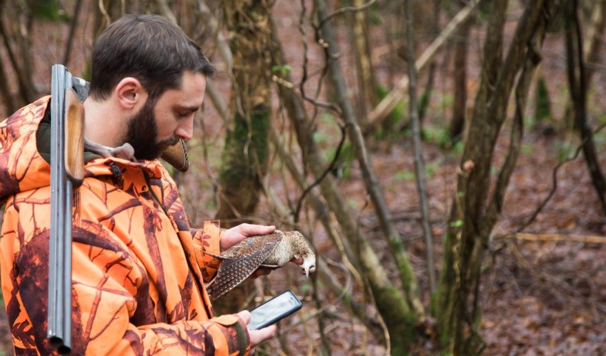 Un chasseur utilise l'application mobile ChassAdapt pour renseigner un prélèvement