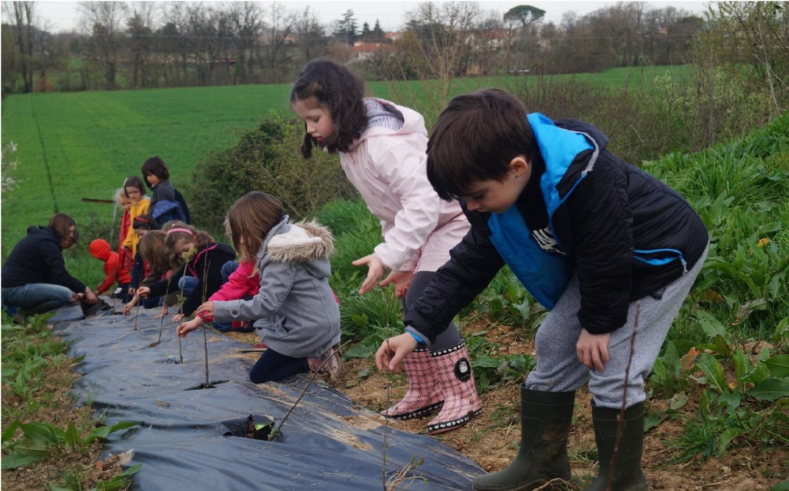 des enfants plantent des haies