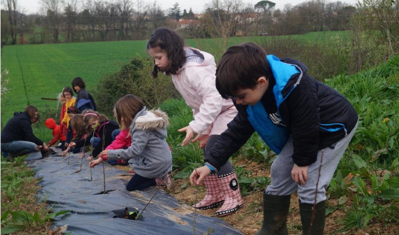 des enfants plantent des haies