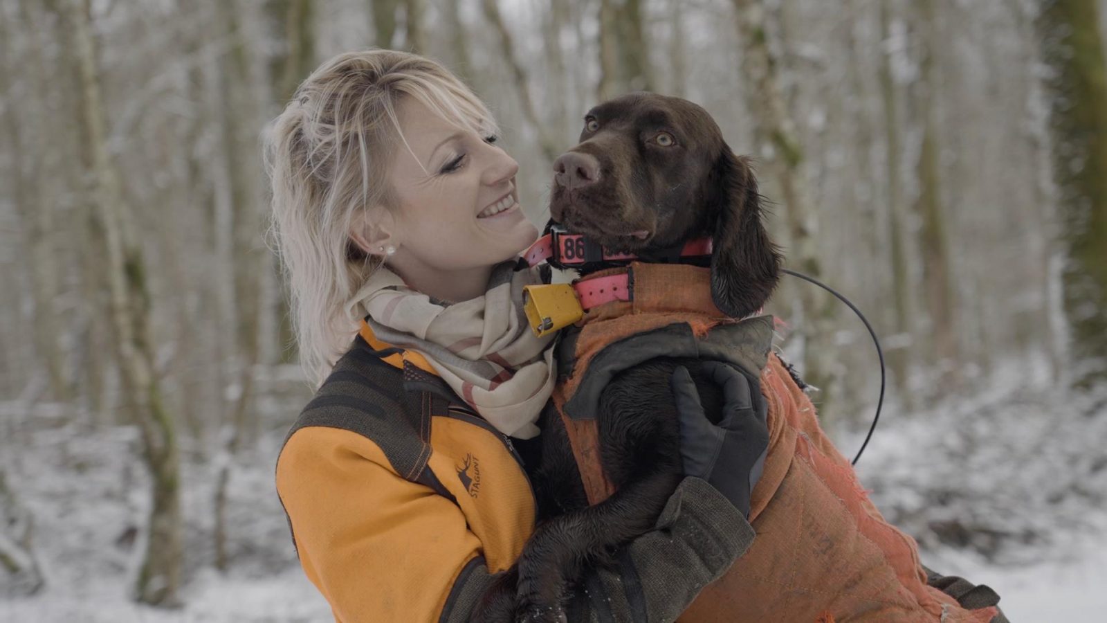 Ces expressions qui viennent de la chasse F d ration Nationale